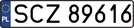 SCZ89616