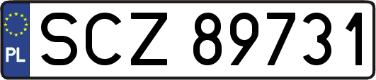 SCZ89731