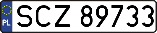 SCZ89733