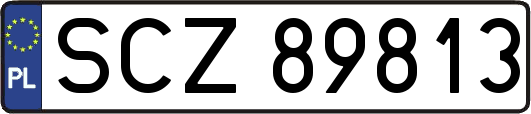 SCZ89813