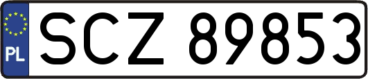 SCZ89853