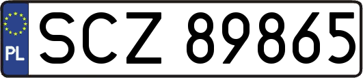 SCZ89865