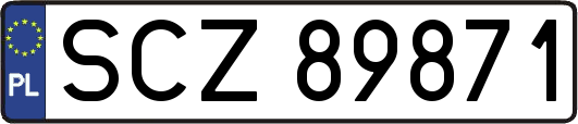 SCZ89871