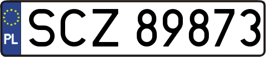 SCZ89873