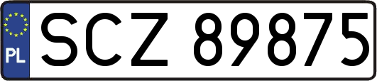 SCZ89875