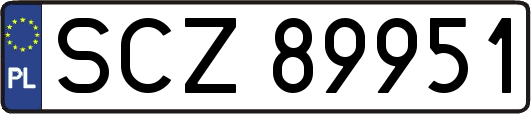SCZ89951