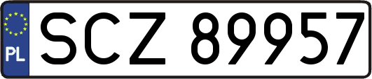 SCZ89957