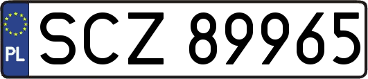 SCZ89965