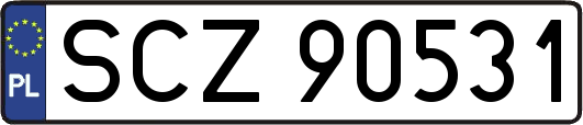 SCZ90531