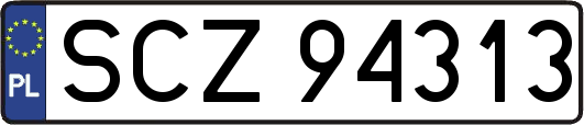 SCZ94313