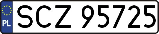 SCZ95725