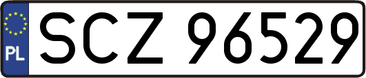 SCZ96529