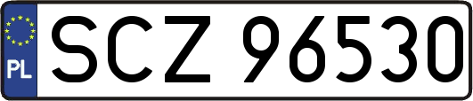 SCZ96530