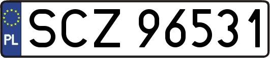SCZ96531