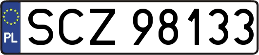 SCZ98133