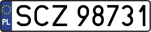 SCZ98731
