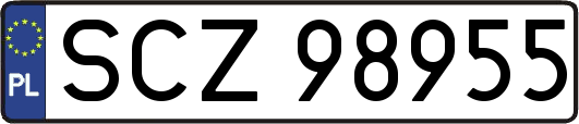 SCZ98955
