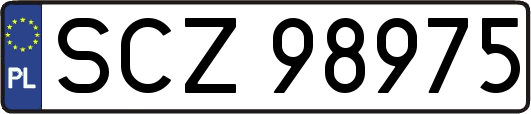 SCZ98975