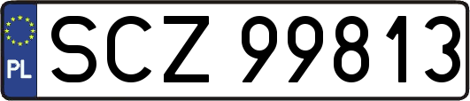 SCZ99813