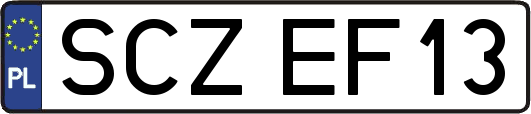 SCZEF13