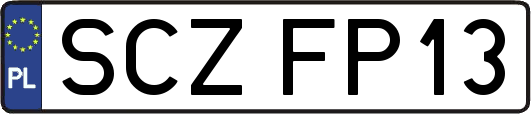 SCZFP13