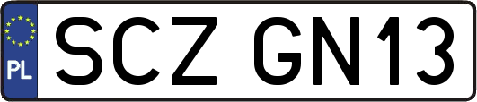 SCZGN13