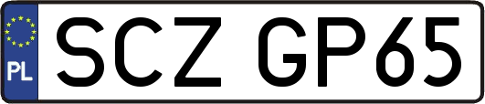 SCZGP65