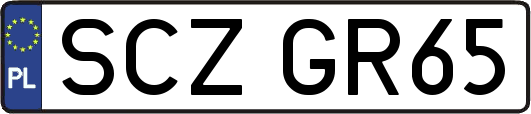 SCZGR65