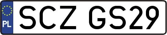 SCZGS29