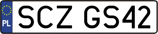 SCZGS42
