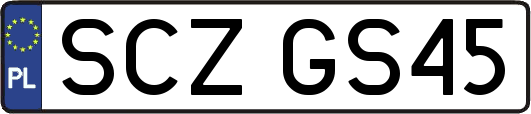 SCZGS45