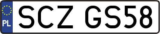 SCZGS58