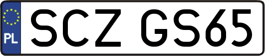SCZGS65