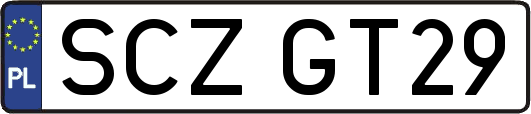 SCZGT29