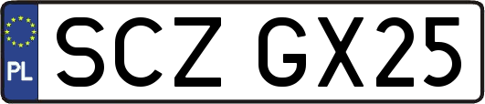 SCZGX25