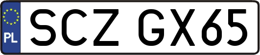 SCZGX65