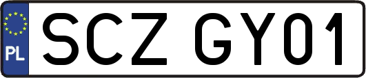 SCZGY01