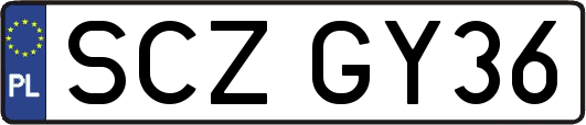 SCZGY36