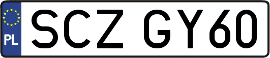 SCZGY60