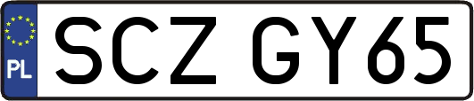 SCZGY65