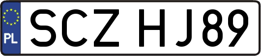 SCZHJ89