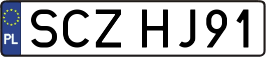 SCZHJ91
