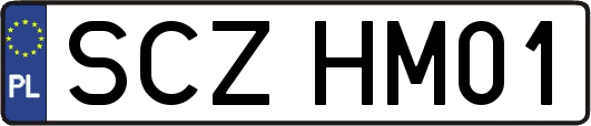 SCZHM01