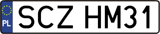 SCZHM31