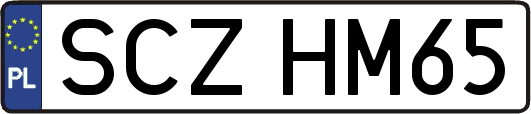 SCZHM65