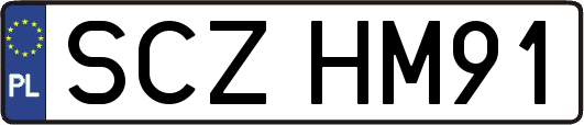 SCZHM91