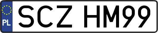 SCZHM99