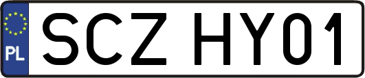 SCZHY01