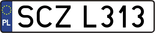 SCZL313