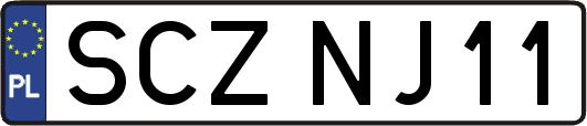 SCZNJ11
